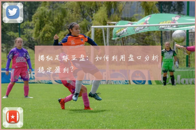 揭秘足球亚盘:如何利用盘口分析稳定盈利?