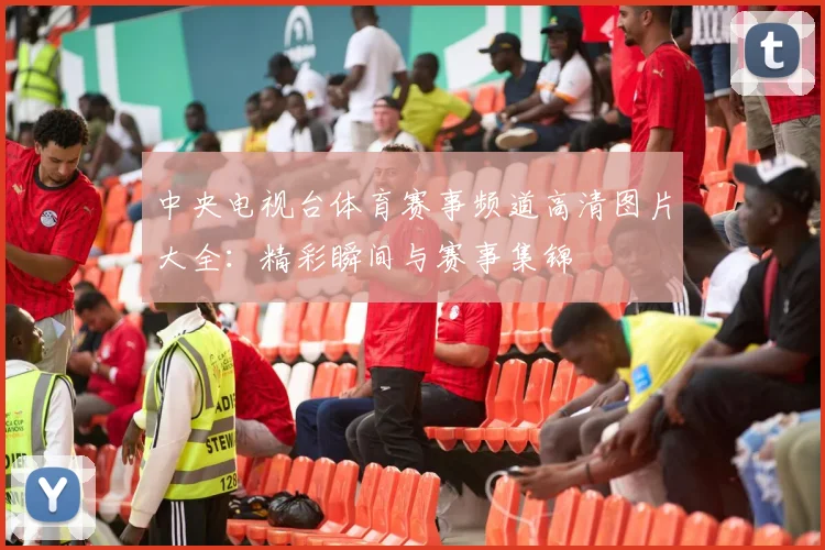 中央电视台体育赛事频道高清图片大全：精彩瞬间与赛事集锦