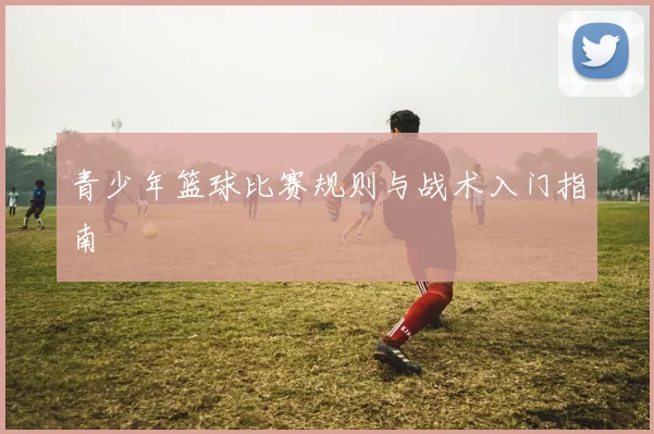 青少年篮球比赛规则与战术入门指南