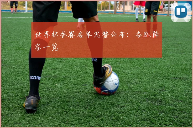世界杯参赛名单完整公布：各队阵容一览